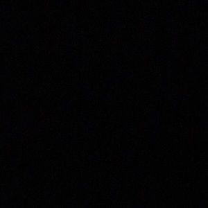 Meet your Posher, Lily